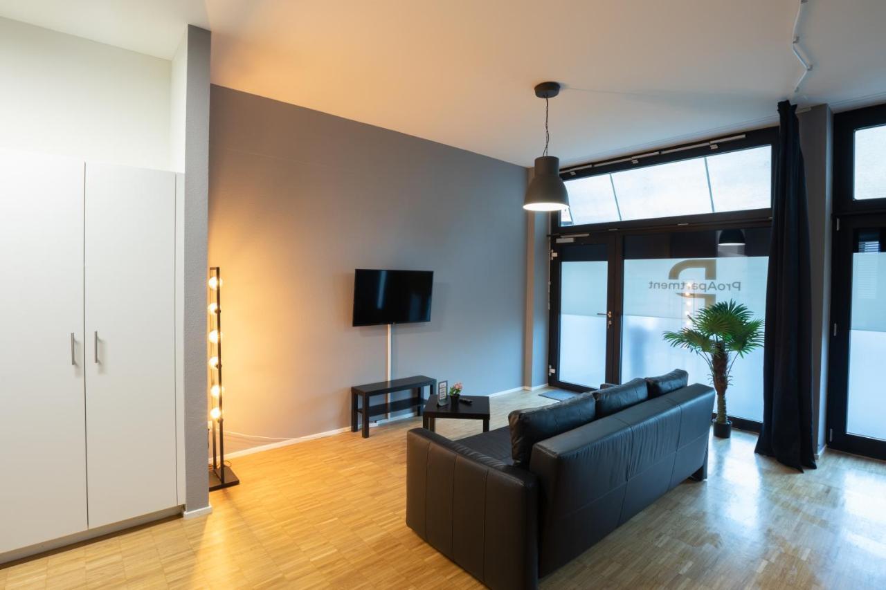 Proapartment Basel Exteriör bild
