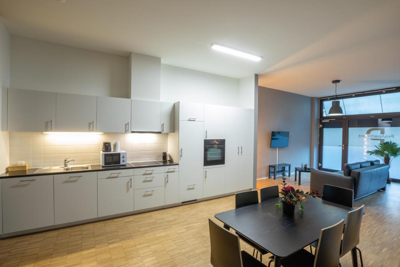 Proapartment Basel Exteriör bild